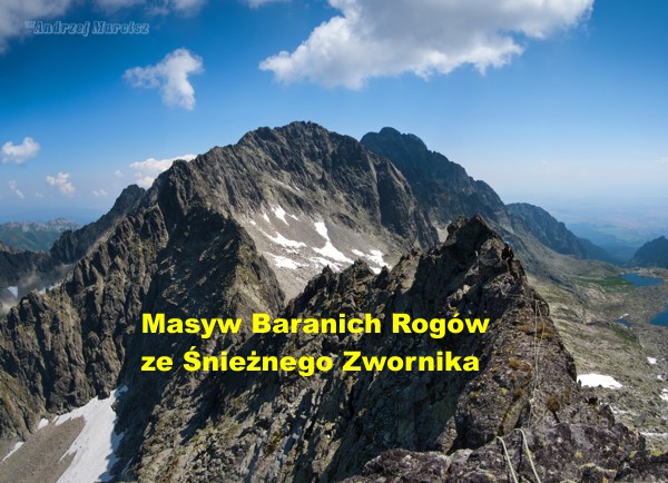 Baranie Rogi ze Śnieżnego Zwornika